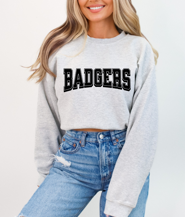 Badgers DTF Transfers