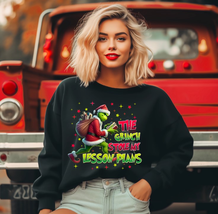 Stole my lesson plans DTF Transfer