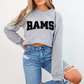Rams DTF Transfer 0080