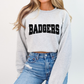 Badgers DTF Transfers