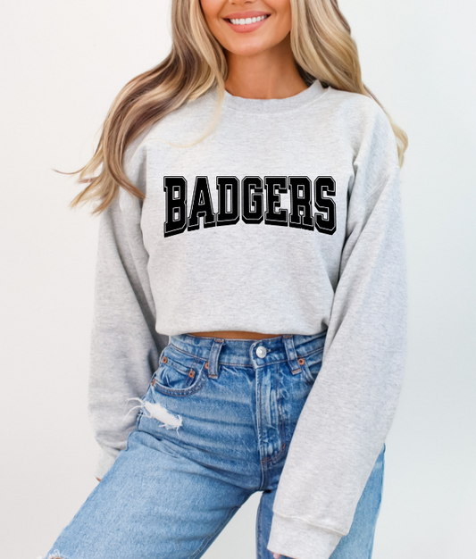Badgers DTF Transfers