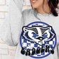 Badgers DTF Transfers