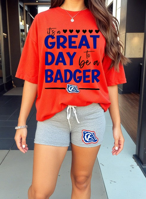 Badgers DTF Transfers