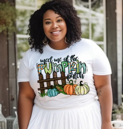 Take me to the pumpkin patch DTF Transfer