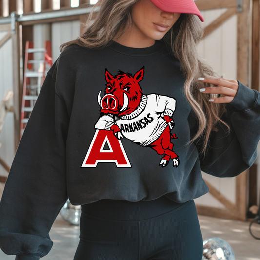 Razorbacks DTF Transfers